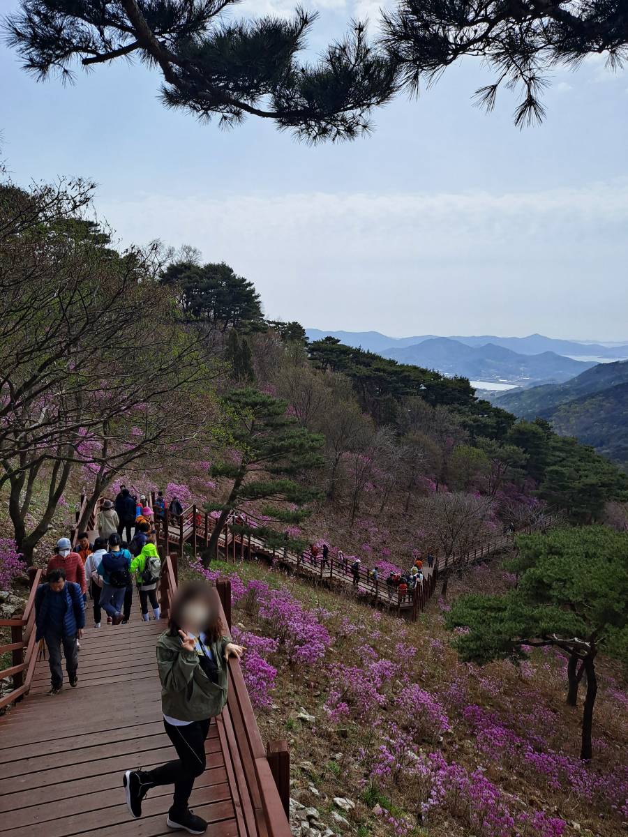 데크길 내려가는 계단