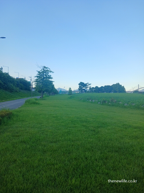 Long stretch of grass alongside a walking path at Guri Hangang Park, ideal for barefoot walking to improve blood circulation/구리 한강시민공원의 잔디길 – 맨발 걷기를 통한 혈액순환 촉진에 적합한 잔디밭 어싱 장소