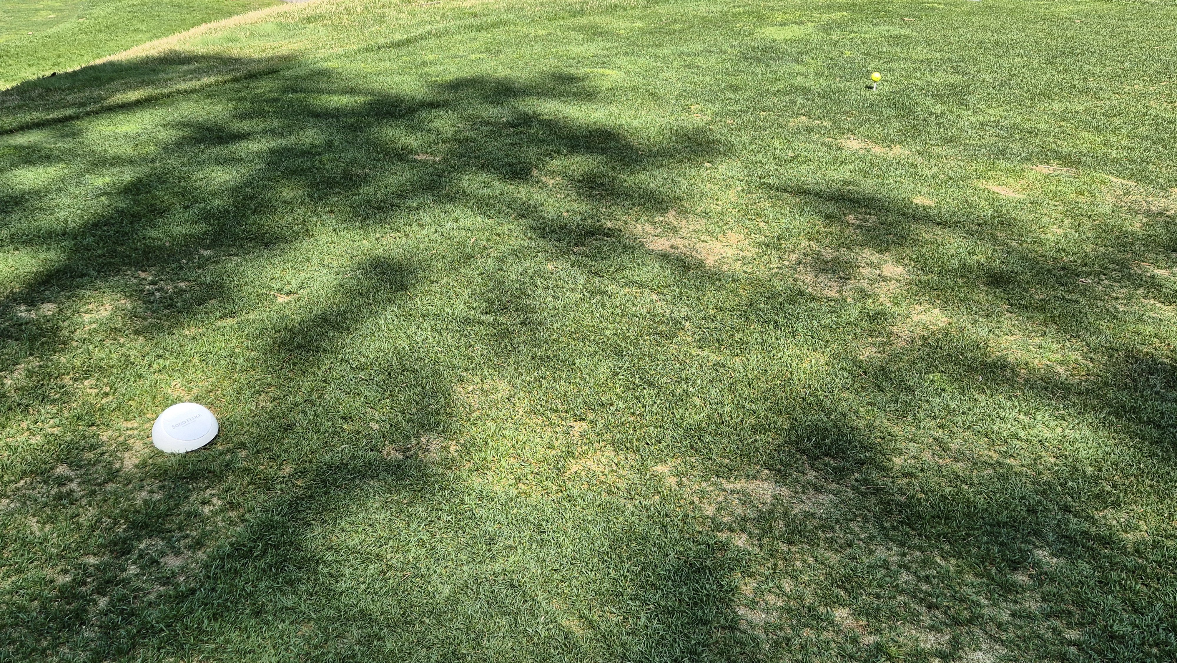 소노펠리체cc 비발디파크 웨스트