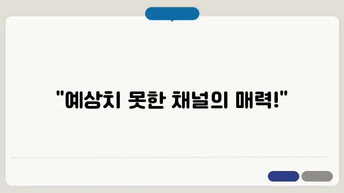 자신의 경험을 바탕으로 한 추천