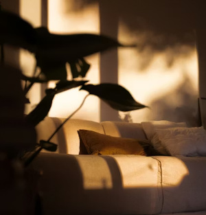 멜라토닌 부작용 섭취방법