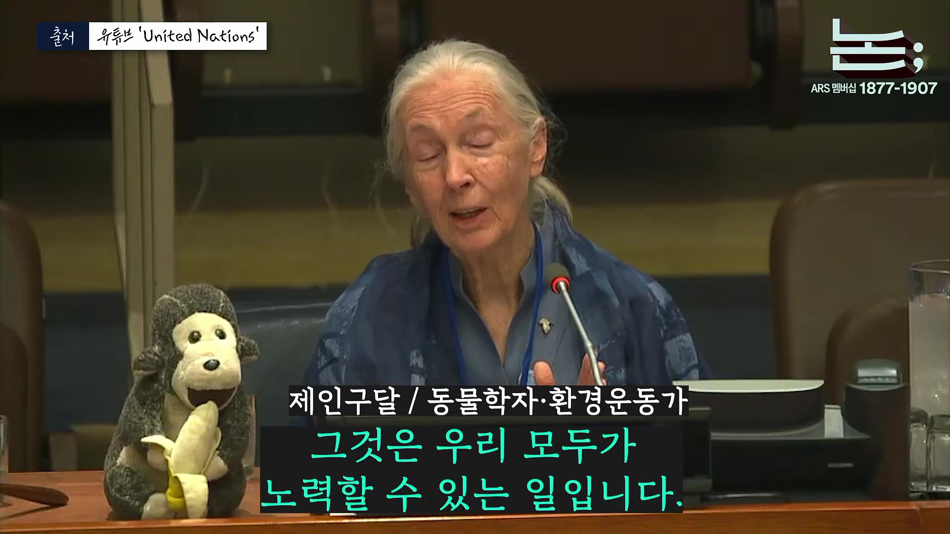[정준희의 논] '제국의 위안부' 박유하와 '침팬지의 어머니' 제인 구달ㅣ2025년 10월 2일 목요일.mp4_20251006_195625.189.jpg