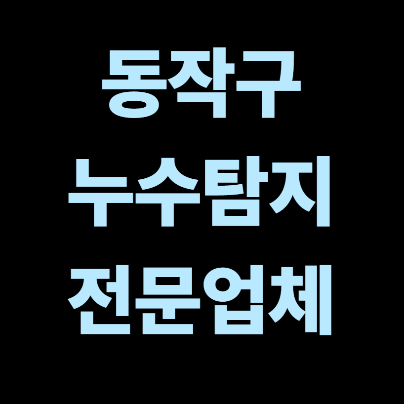 동작구 누수탐지 전문업체