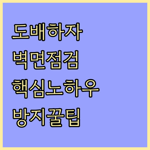 도배 하자 방지 벽면 점검 및 관리 
