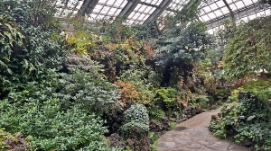 화성_우리꽃식물원_국화전시회