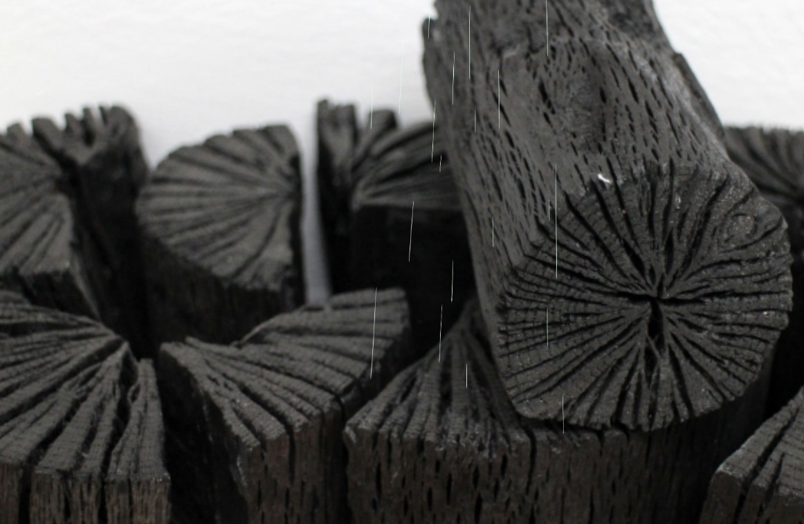 습기제거도움-숯