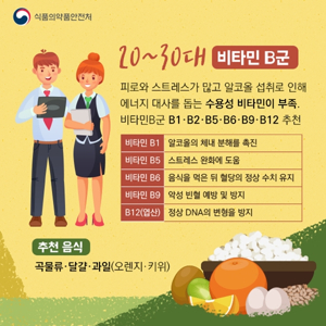 빈혈영양제