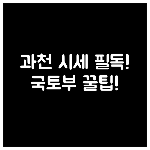 국토교통부 자료로 과천 아파트 실제 ..