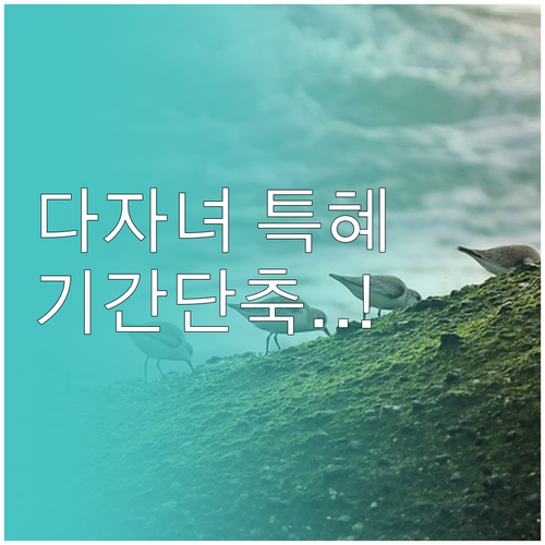 자녀 2명 다자녀 가구 개인회생 변제..