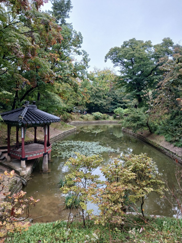 후원 관람정 부근 연못