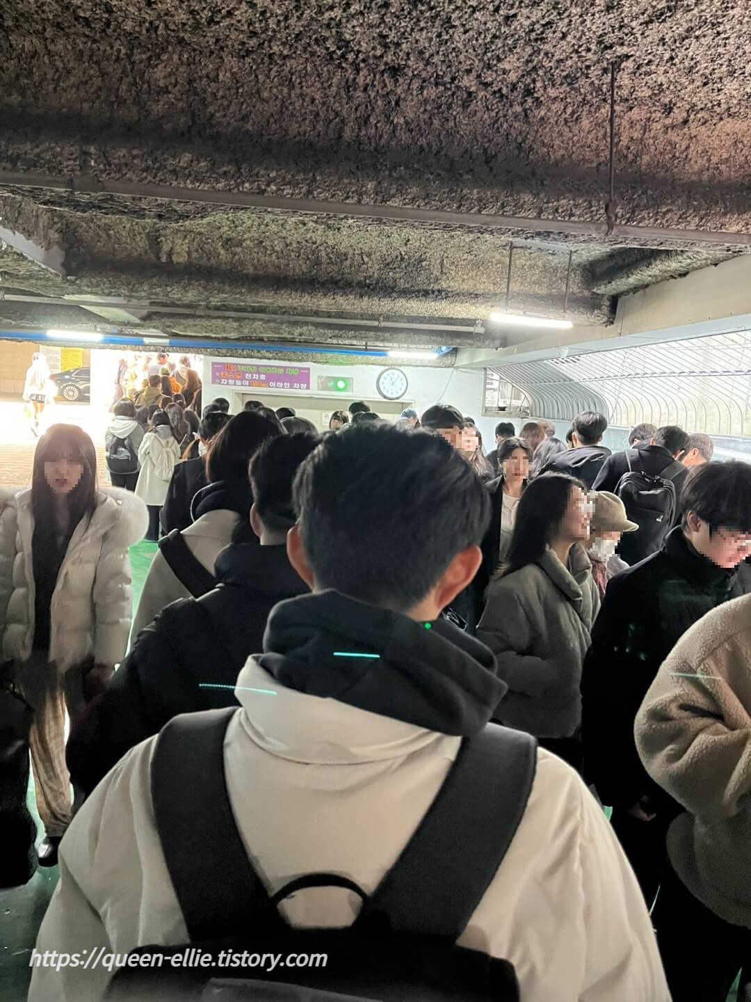 성심당 본점 딸기설기 케잌부띠끄 웨이팅 대전맛집 진로집