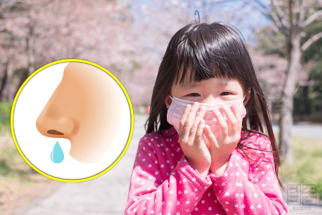 알러지에 좋은 음식 알러지에 좋은 차