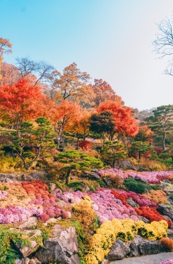 화담숲 예약 방법&amp;#44; 입장료&amp;#44; 케이블카 정보까지 한 번에! 힐링 가득한 여행