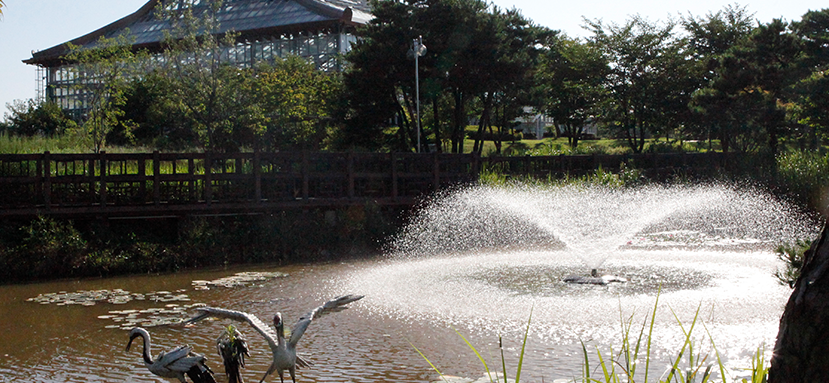 우리꽃식물원 생태연못