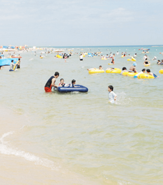 2024 강원도 해수욕장 개장일