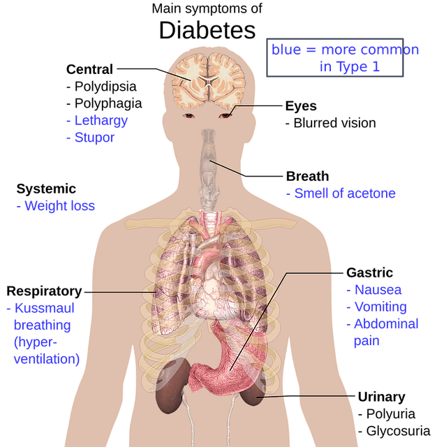 몸 해부도 사진