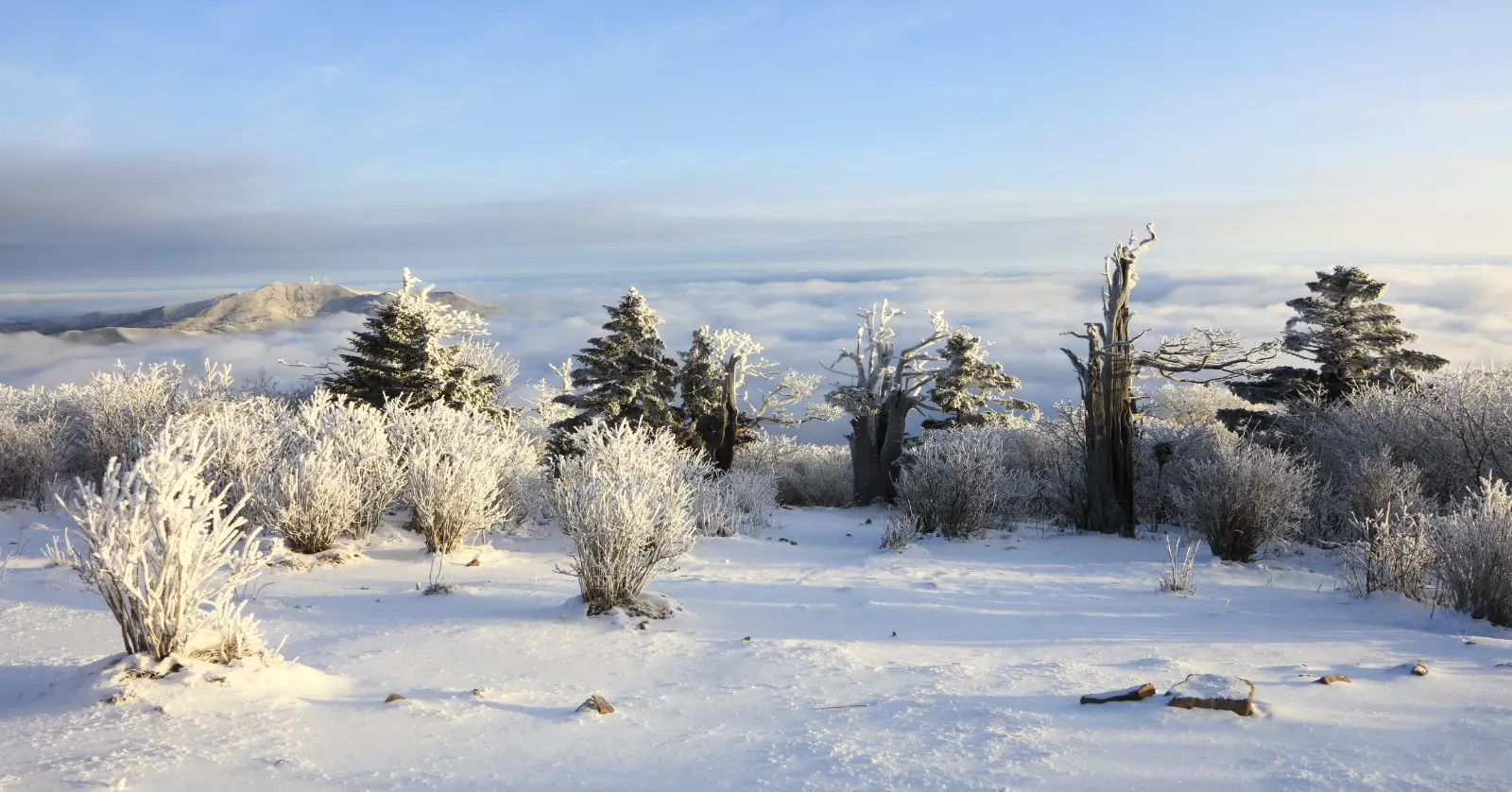 국립공원 실시간 CCTV