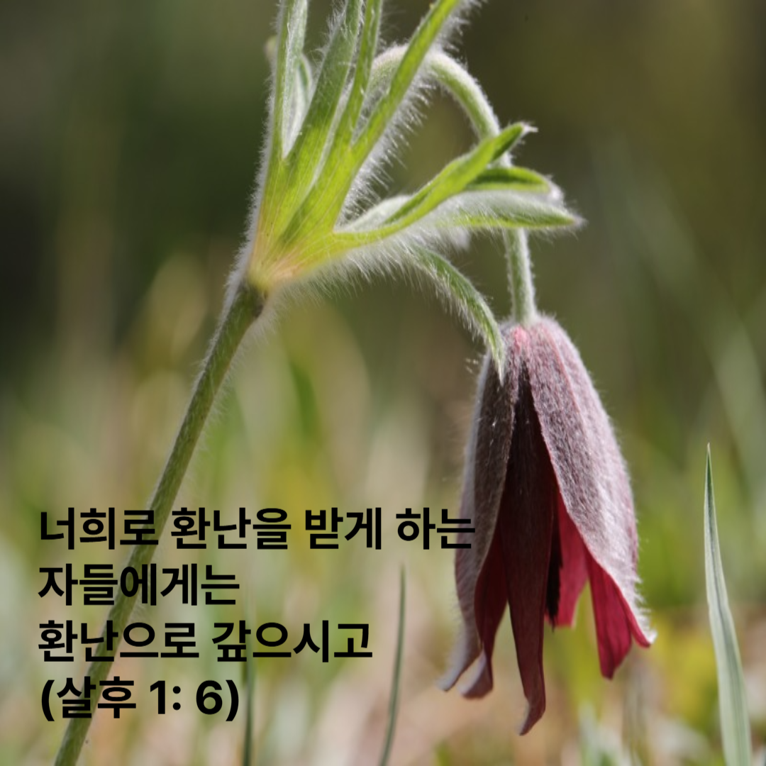 살후1:6