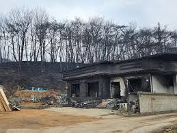 산불재난지원금 신청하기
