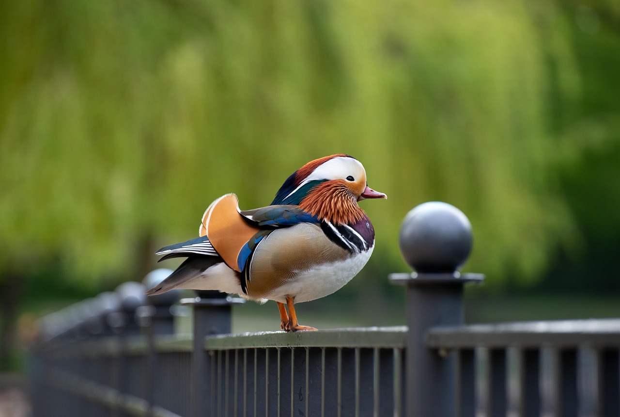 6.27 부동산 대책 대출규제