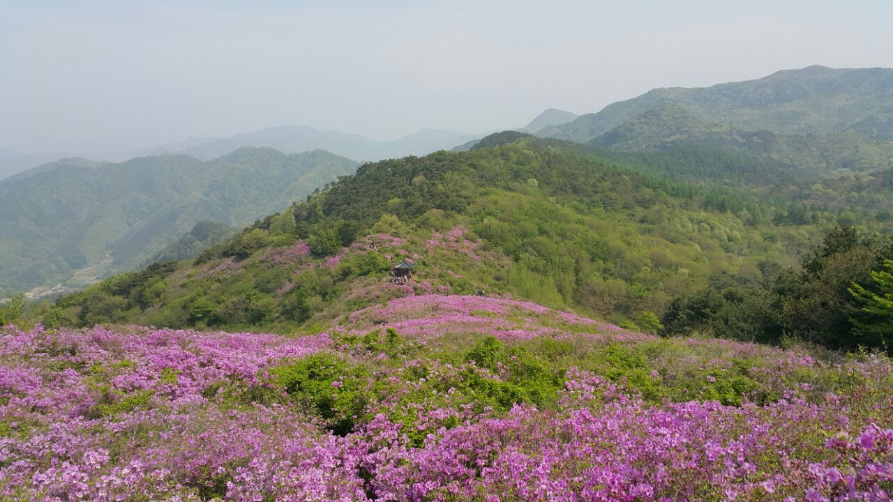 봉화산