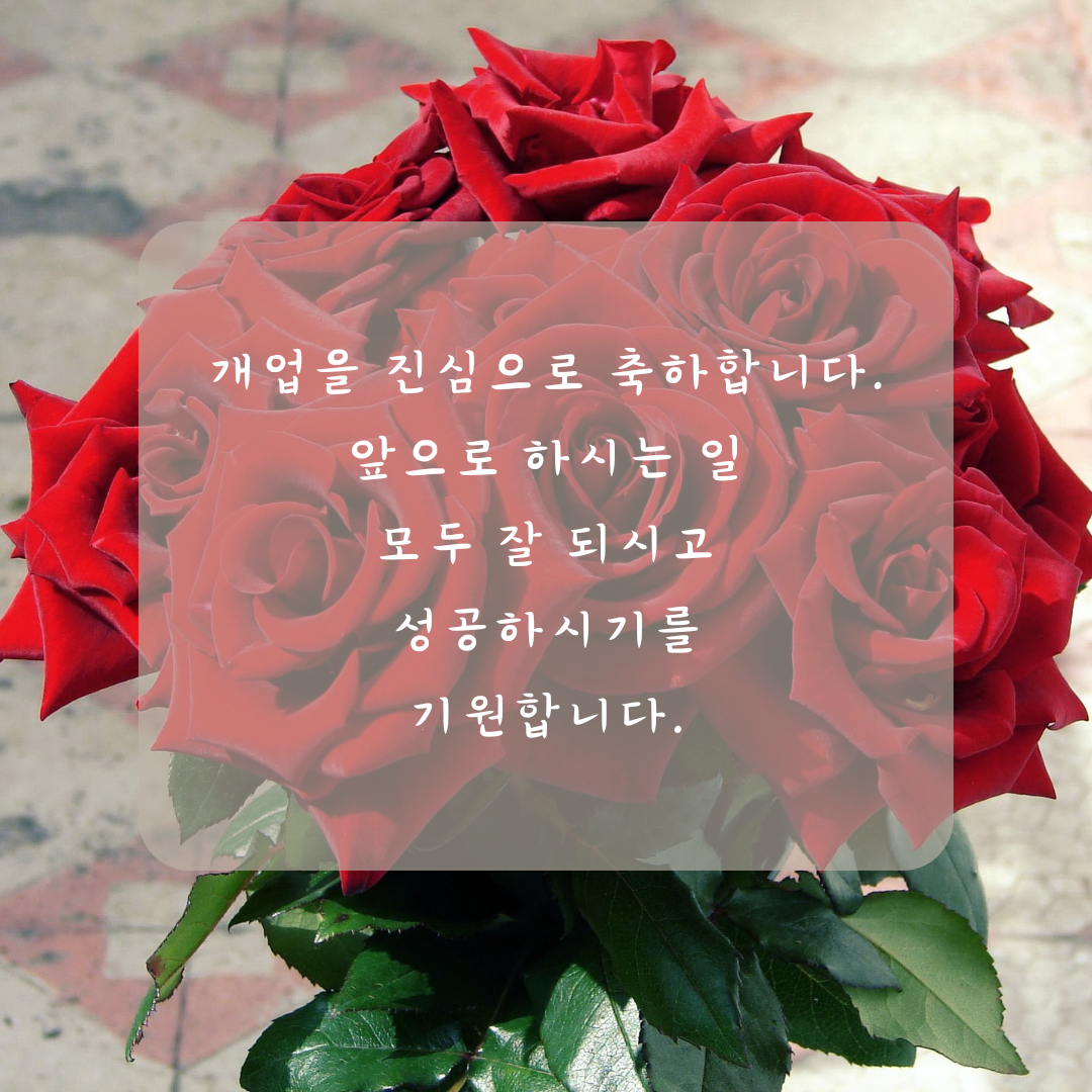 개업축하 화분 문구 인사말 모음