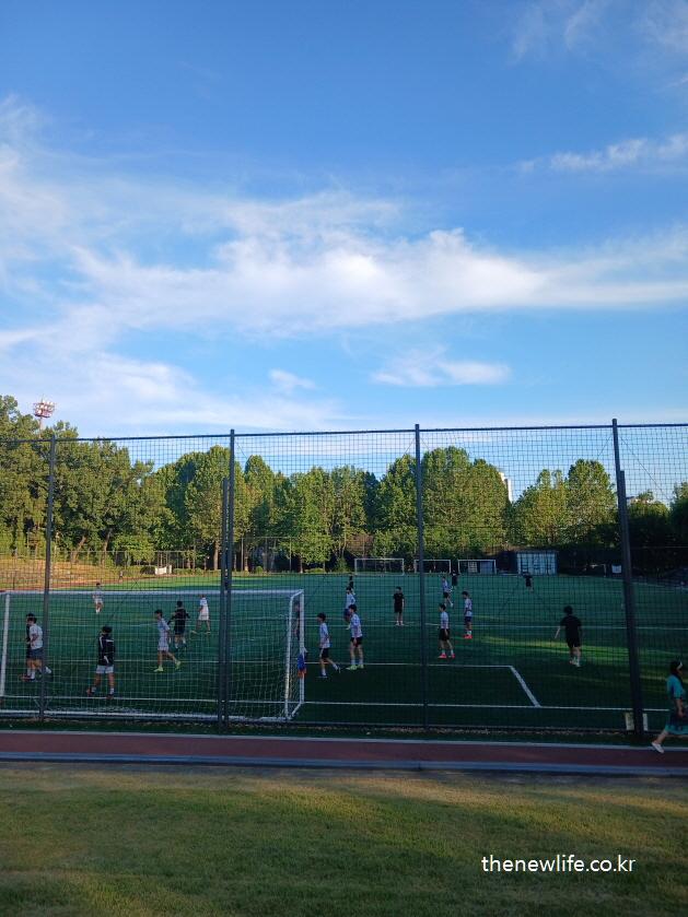 Soccer field in Children's Grand Park, surrounded by trees and kids playing./서울 어린이대공원의 축구장, 나무에 둘러싸인 공간에서 아이들이 축구를 하고 있는 모습