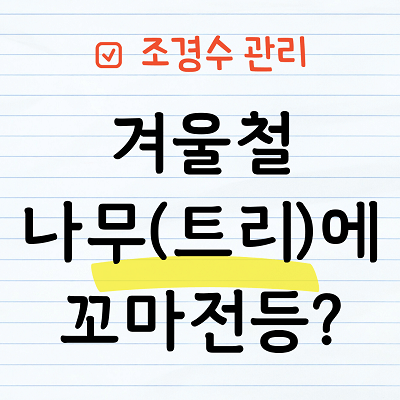 겨울철 나무에 꼬마전등 장식