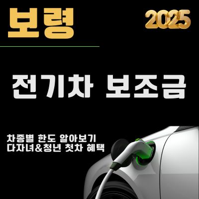 썸네일_보령 전기차 보조금 개편안 2025 (차종별 한도, 신청방법, 청년 첫차 추가혜택)