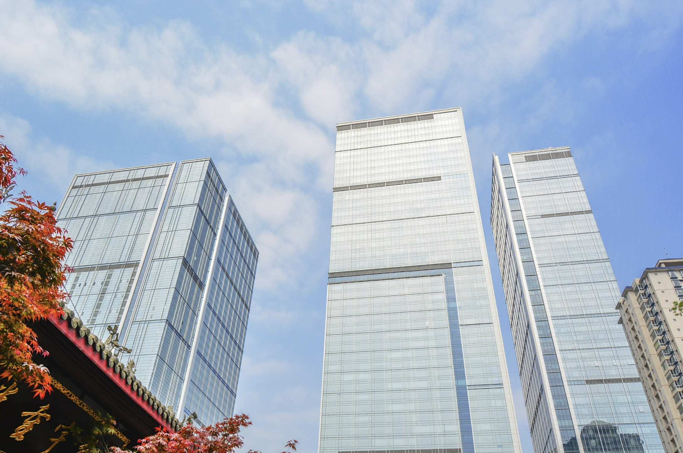 대기업 중심 경제 구조가 생산성을 왜곡시키는 이유