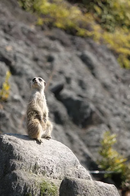 더애수 쇼핑몰 필수 패션 아이템_3