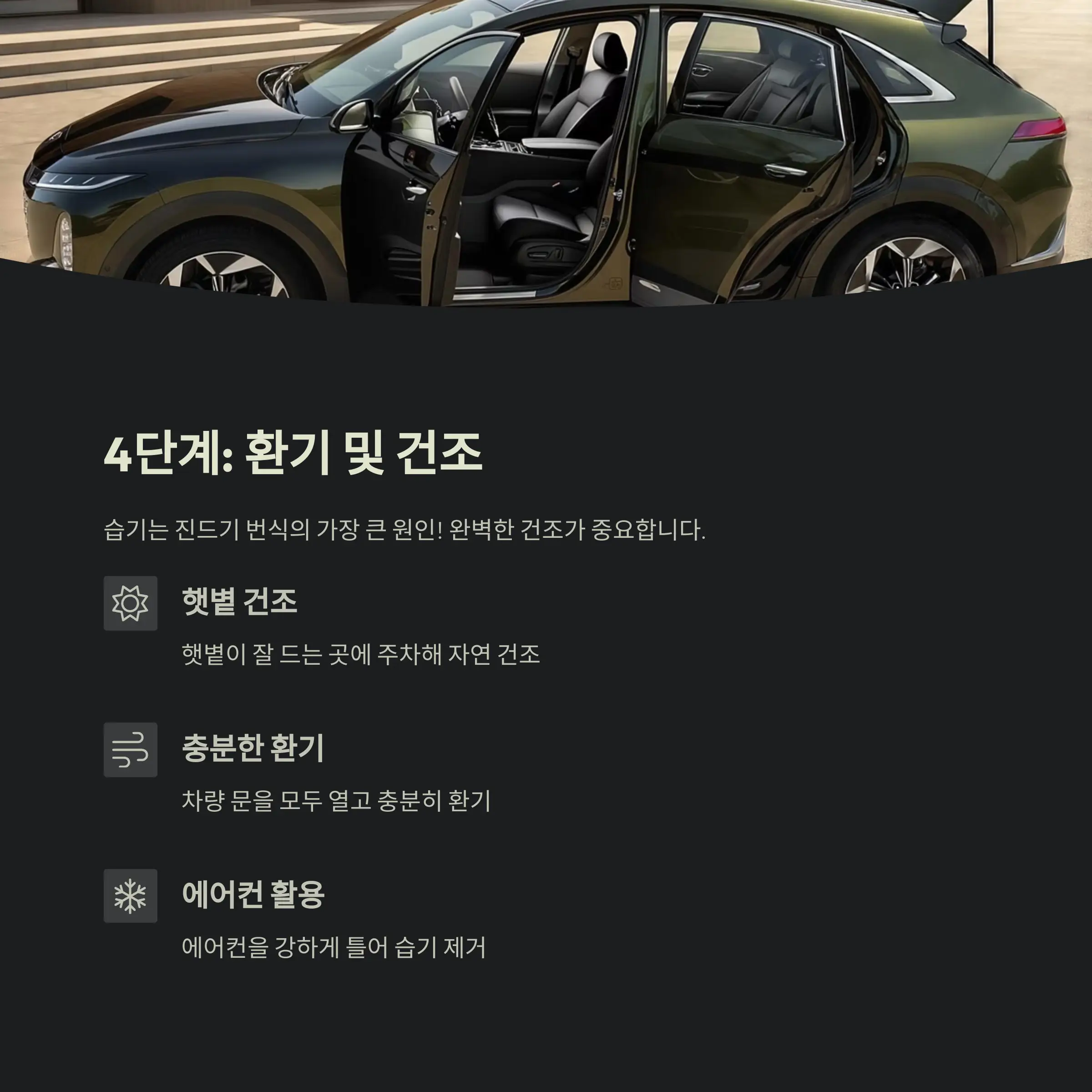 차량 진드기 제거 정보