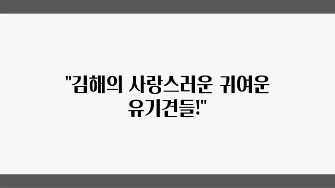 유기견보호소 건강한 아이들 김해유기견보호소