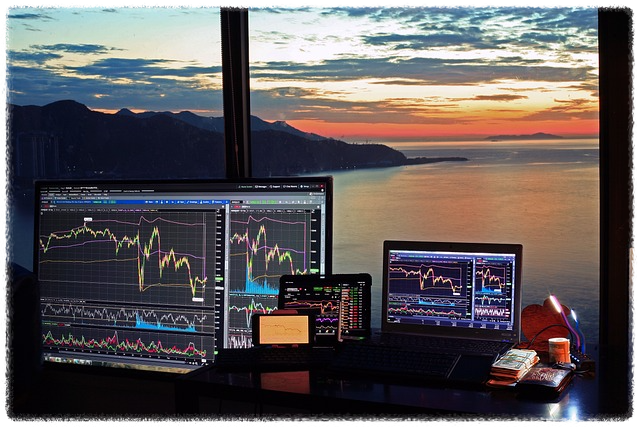 물타기 장점 및 단점