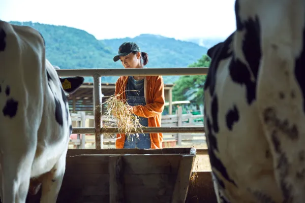 목장일을 하고 있는 자윤(김다미)