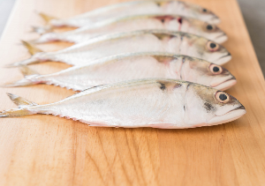 조기 네마리가 가지런히 놓인 사진