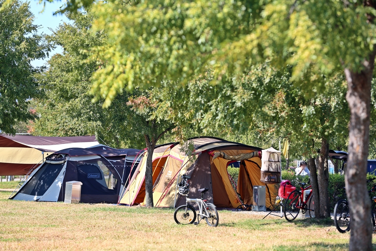 여주 이포보 캠핑장