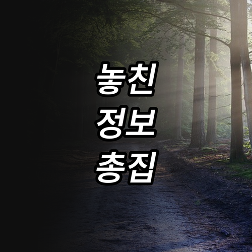 2025 강릉시 이사 예정? 전입축하..