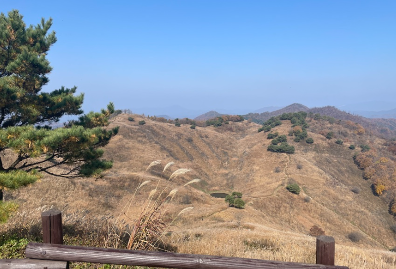 민둥산 억새꽃 축제