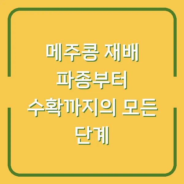 메주콩 재배 파종부터 수확까지의 모든 단계