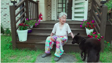 🎬 인간극장 "아흔아홉 울엄마는 못 말려" 5부 완결편 심층분석 👵✨