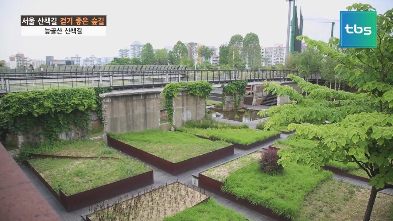 걷기좋은 숲길 50 서울 전남 경북_9