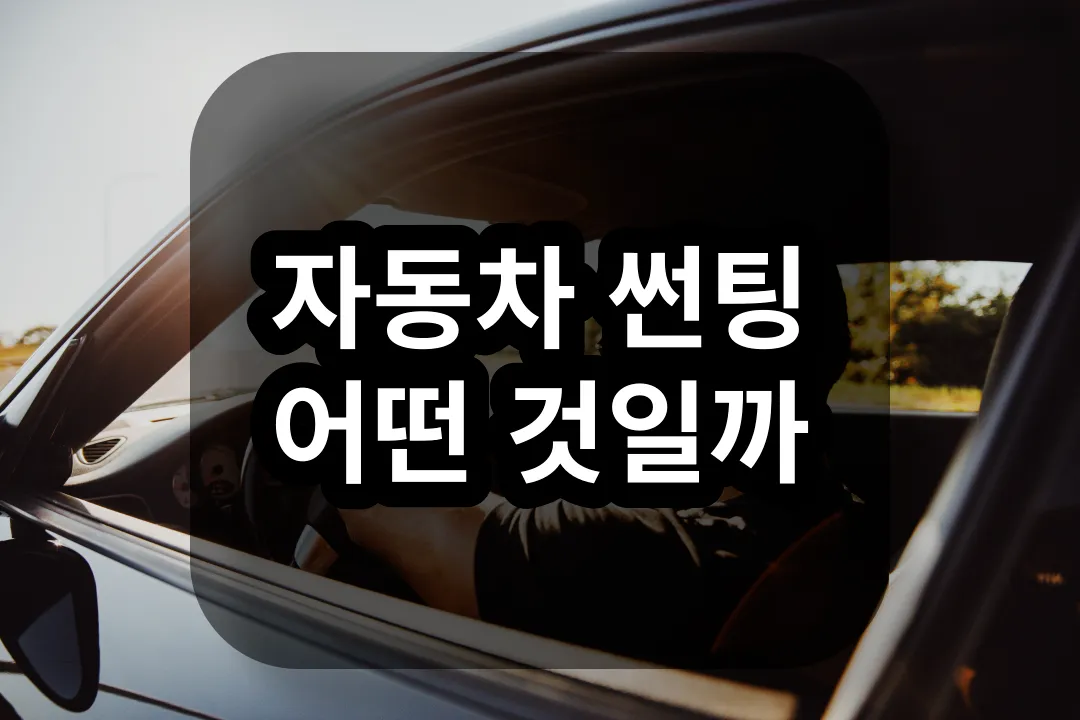 자동차 썬팅