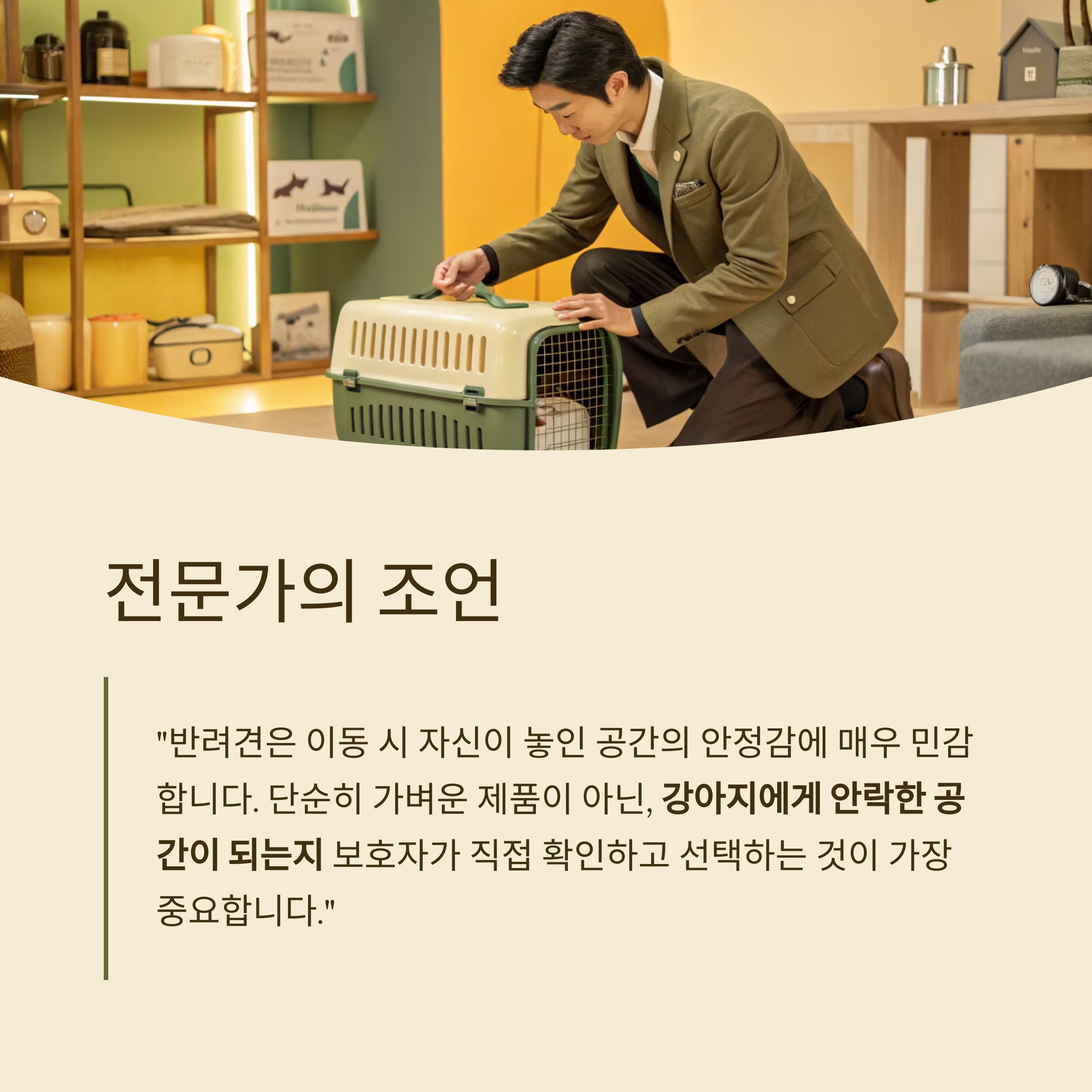 전문가의 조언