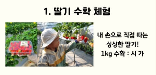 율봄식물원 딸기시즌 체험 예약 및 이용 방법