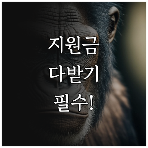 국가 복지 지원금 놓치지 않는 복지멤..