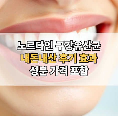 노르다인-구강유산균-내돈내산-후기-효과-성분-가격
