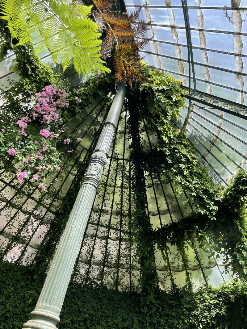 마드리드 왕립식물원 온실