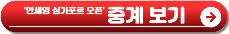 안세영 싱가포르 오픈