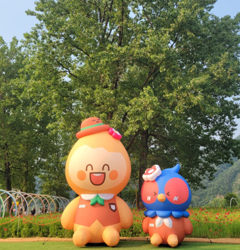 자라섬 꽃 페스타